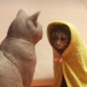 Meet your Posher, Deren